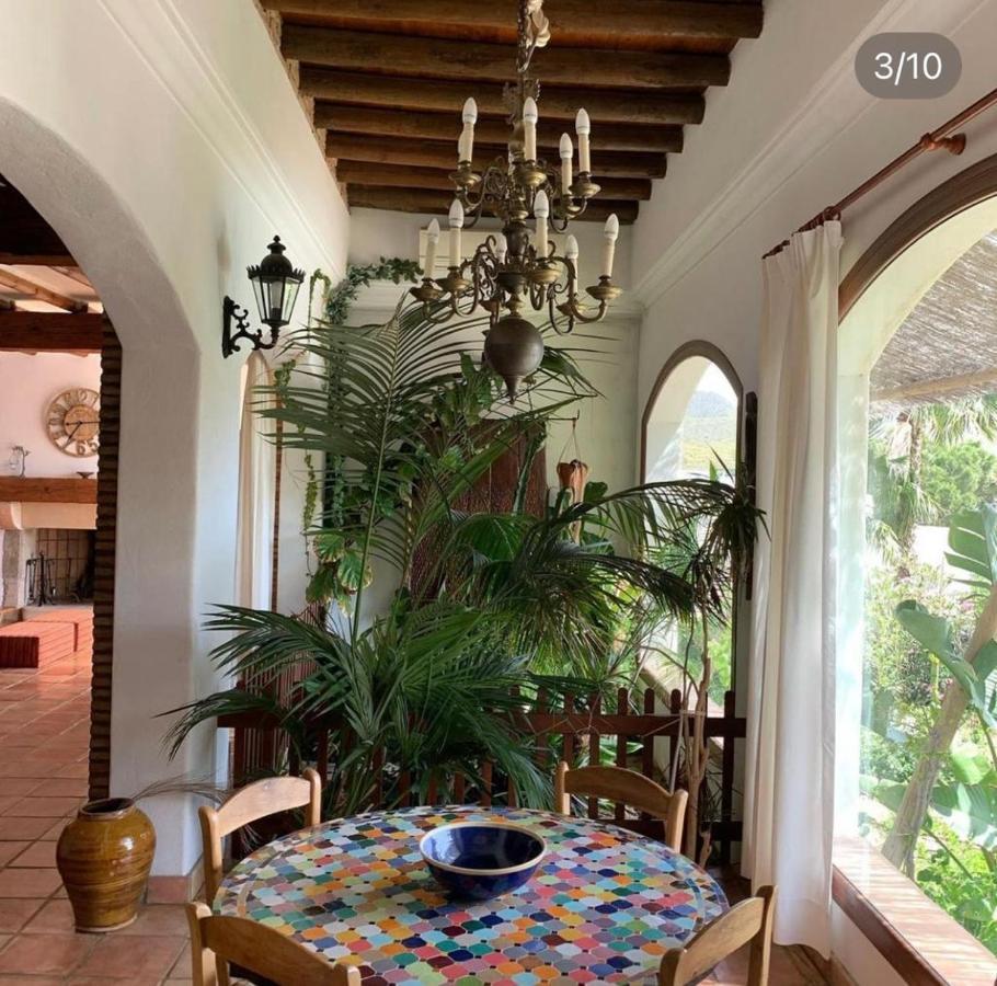 La Washingtonia Appartement Las Negras