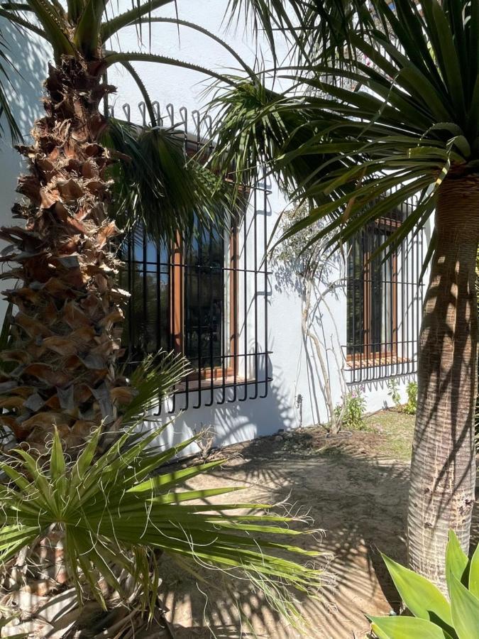 La Washingtonia *