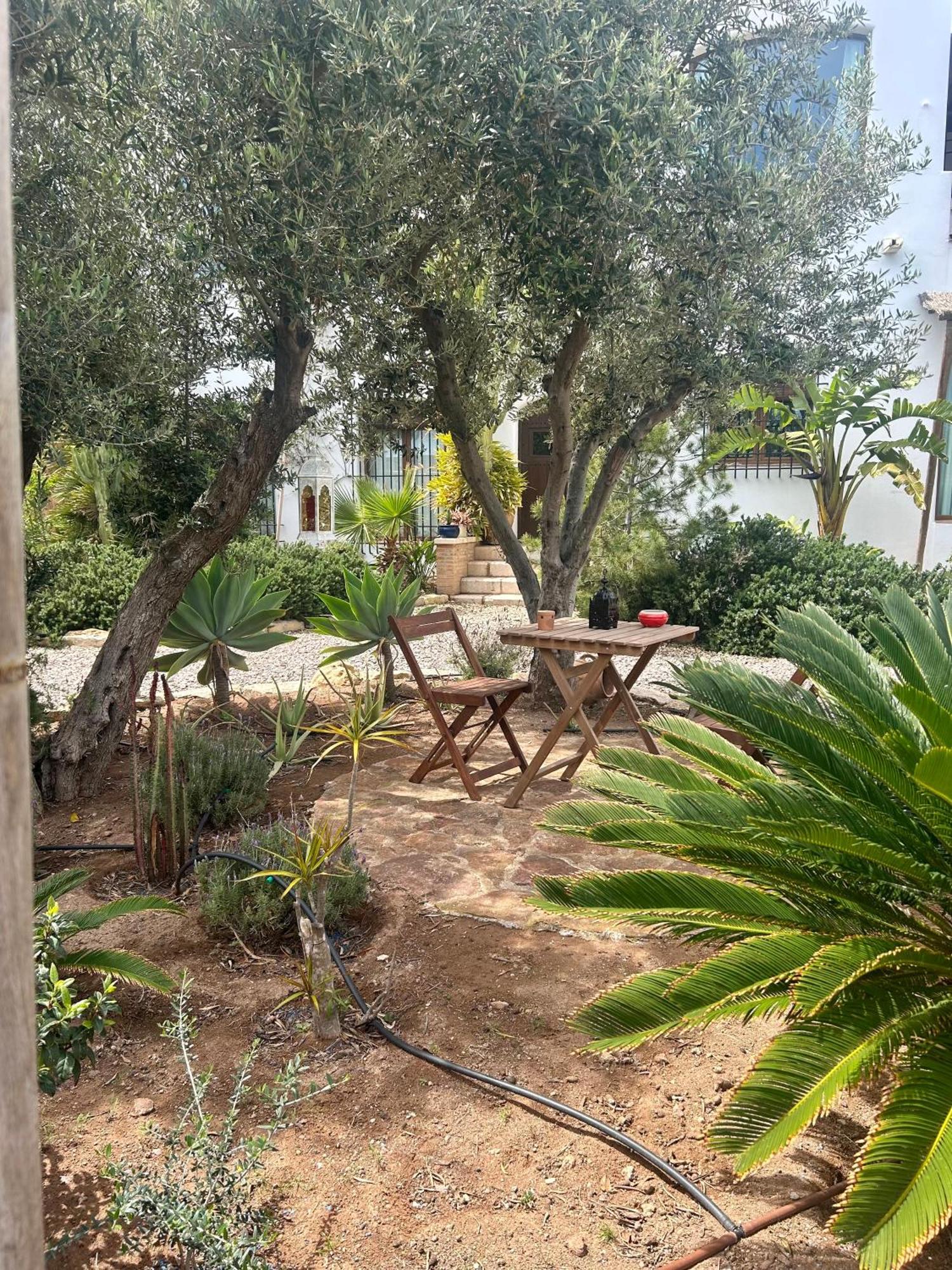 La Washingtonia Appartement *