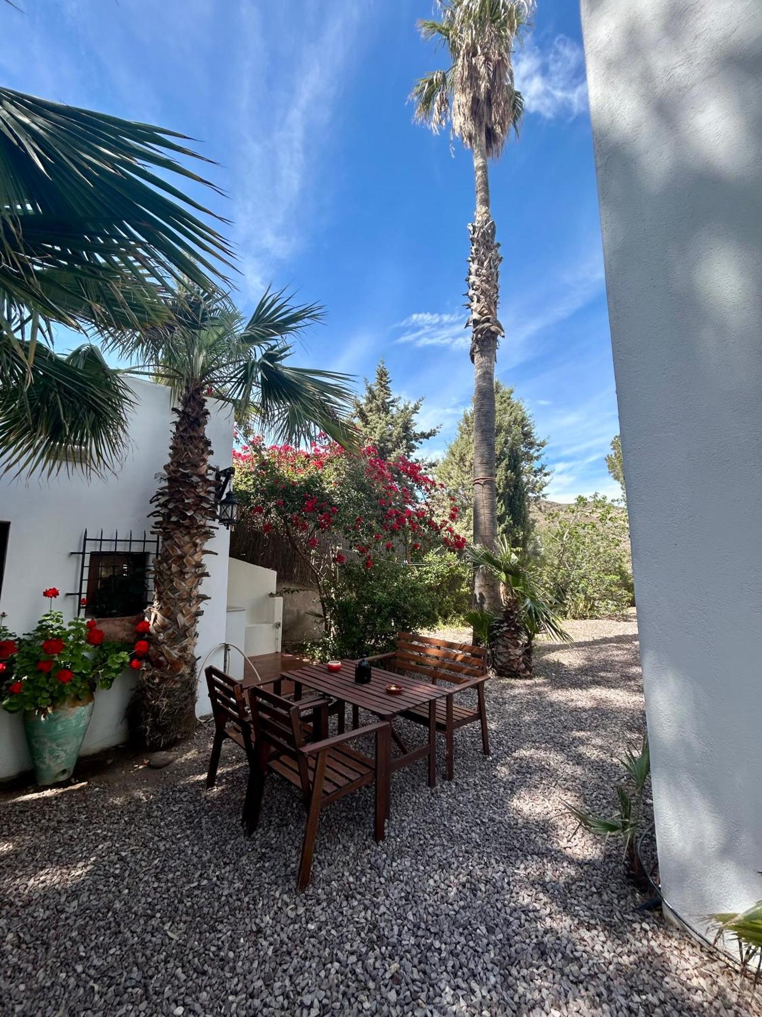 La Washingtonia Appartement Las Negras