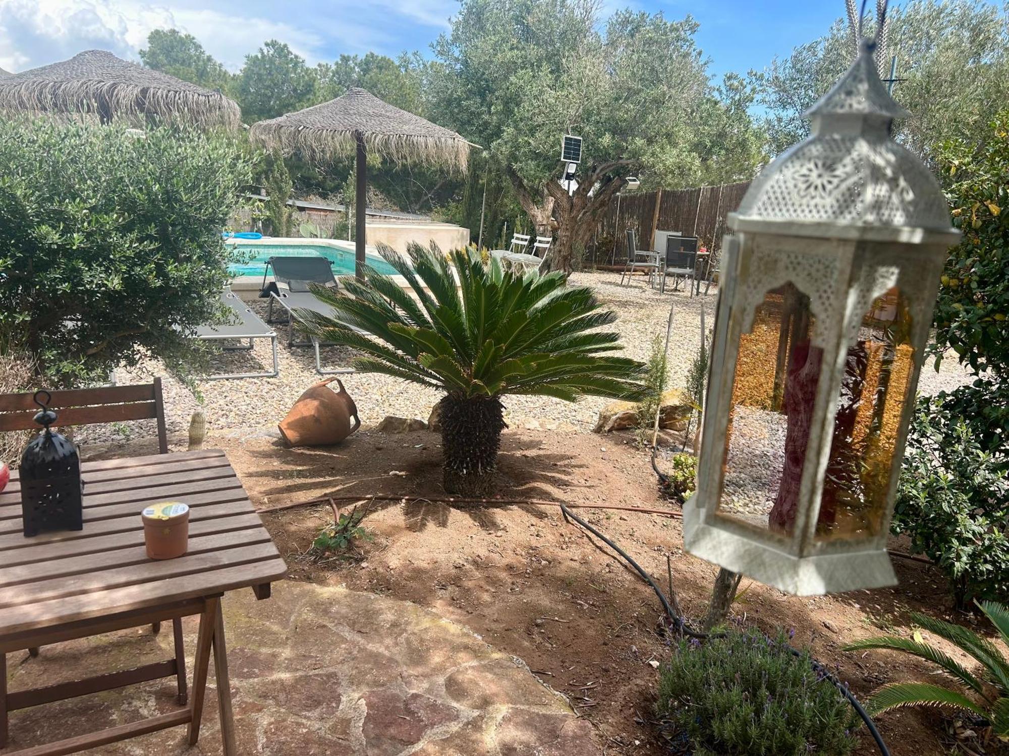 Appartamento La Washingtonia Las Negras